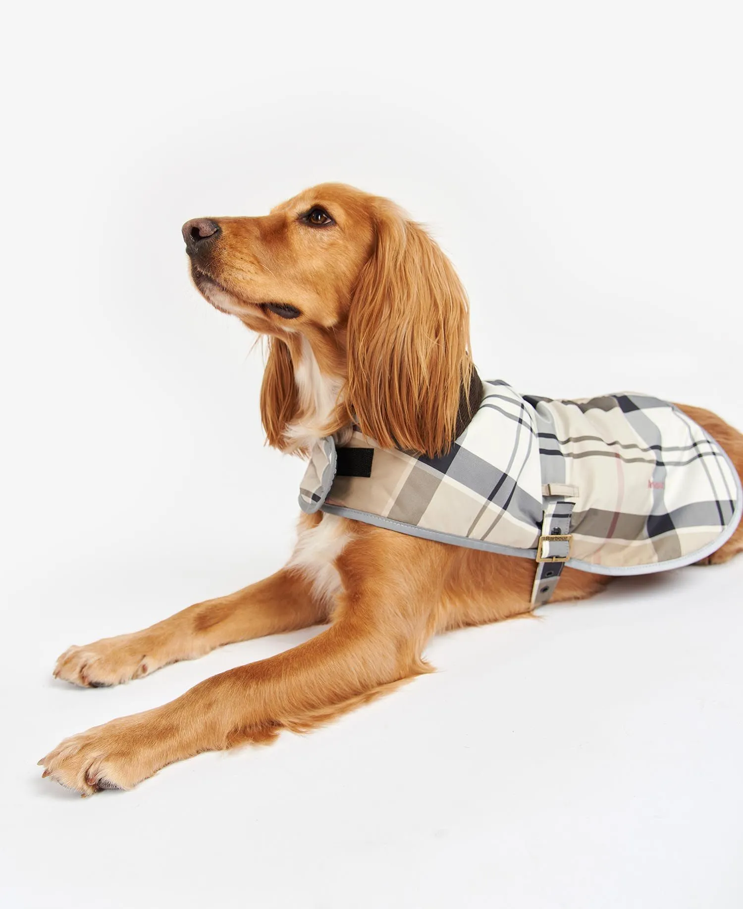  Barbour Wetherham Tartan Dog Coat     