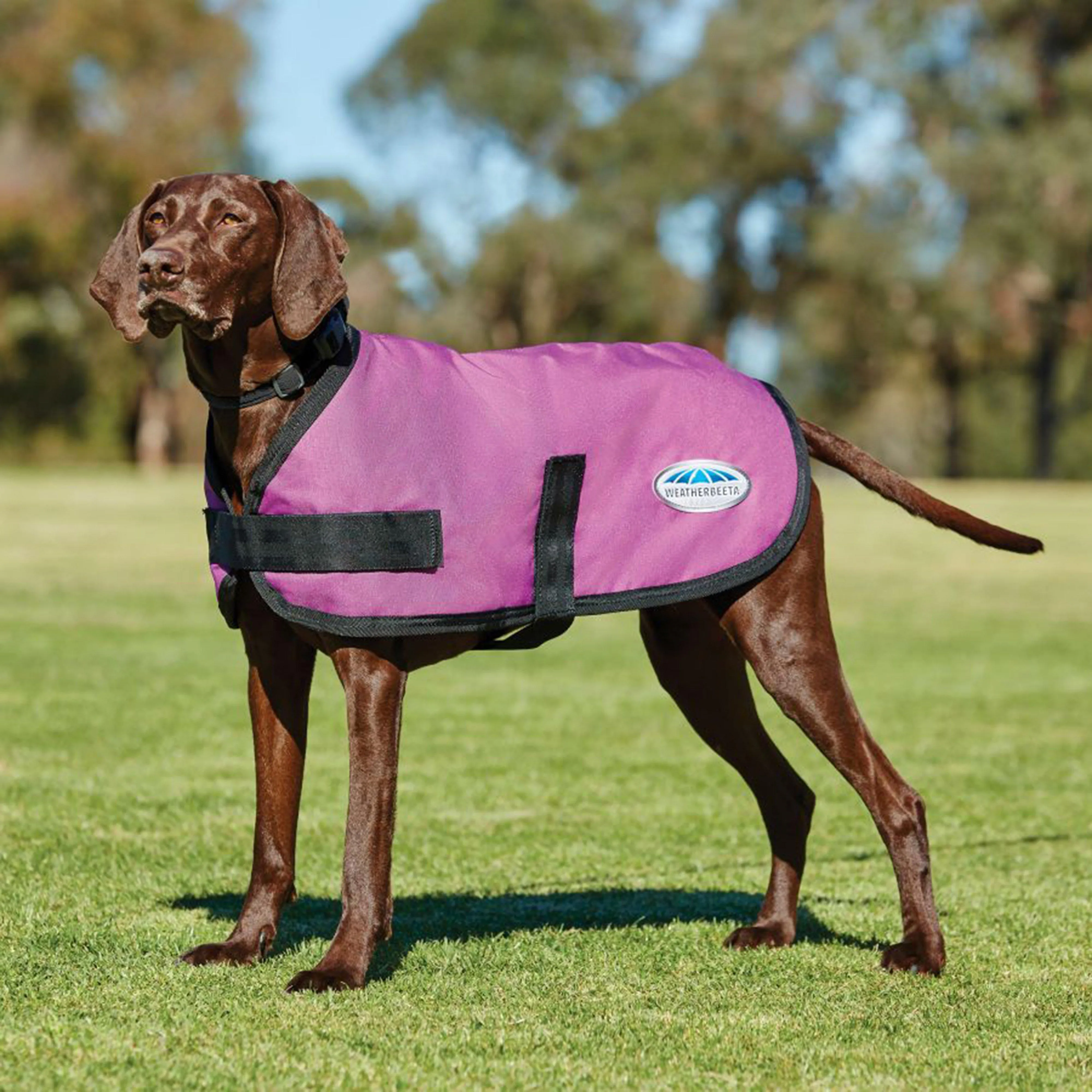 WeatherBeeta Comfitec Classic Dog Coat | Millets